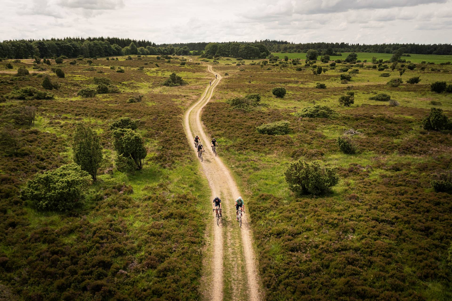 DGI | The Viking Grand Fondo