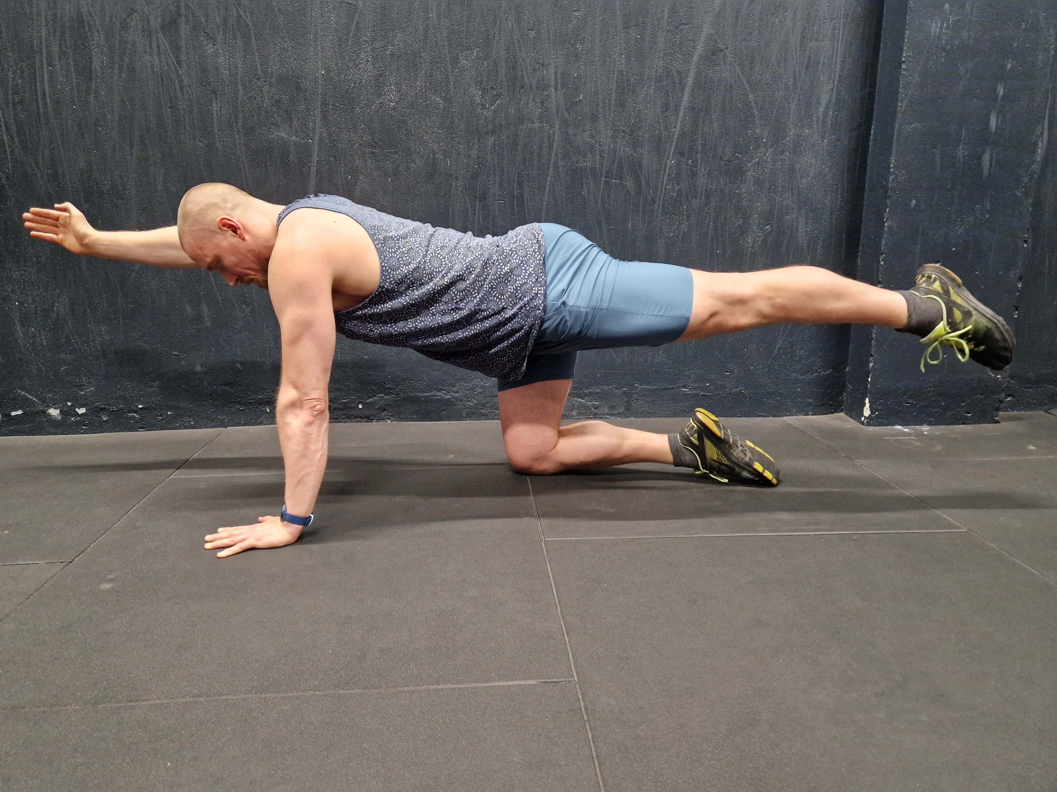 Stærk Ryg The Bird Dog 1