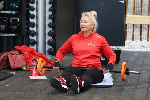 Workshops om frivillige seniorer