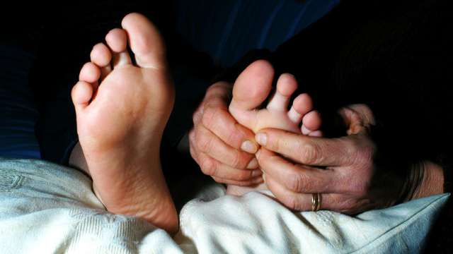 Colourbox551503 Fodder1