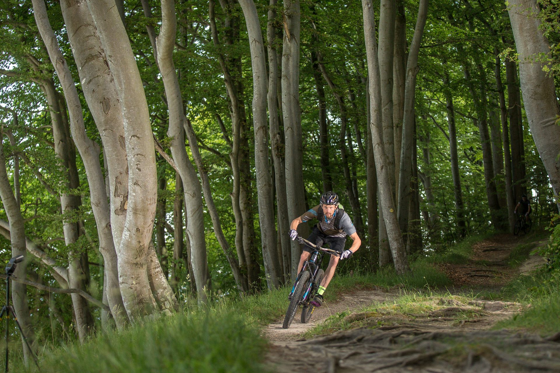 MTB Cykling På Møn 2016 Foto Martin Paldan